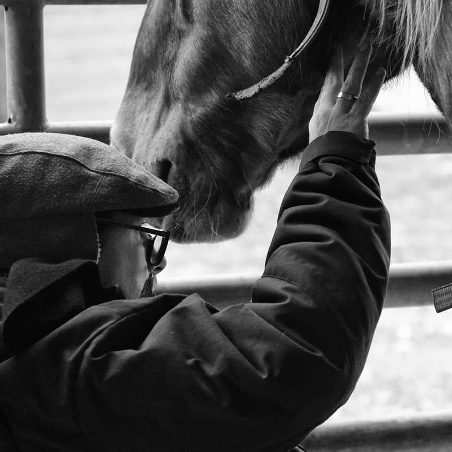 Equitherapie - Les Attelages du Grandvaux