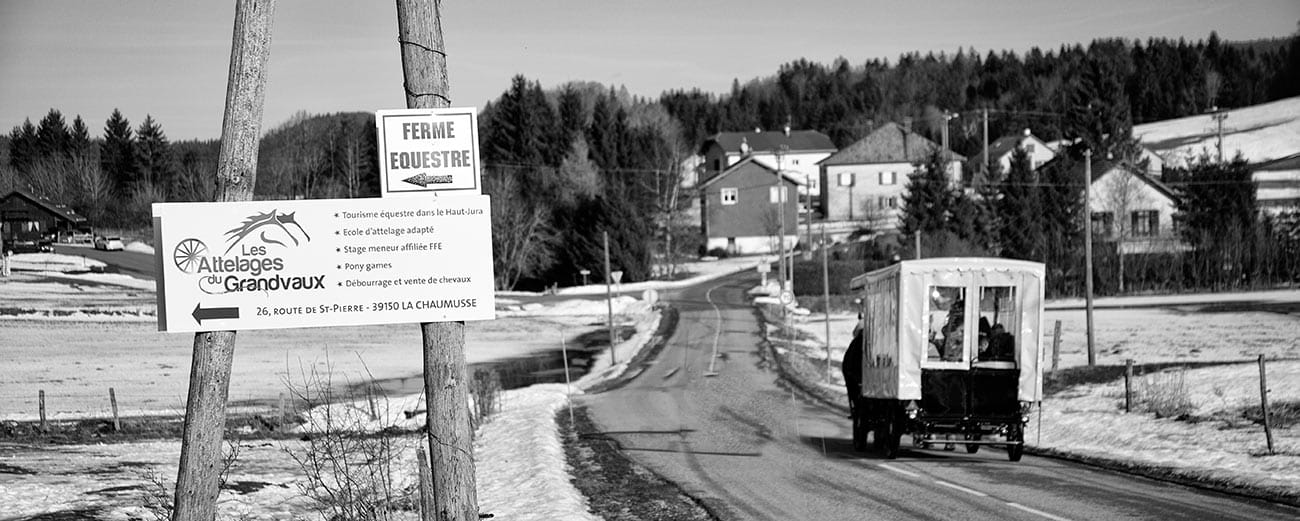 Les Attelages du Grandvaux - formation-attelage