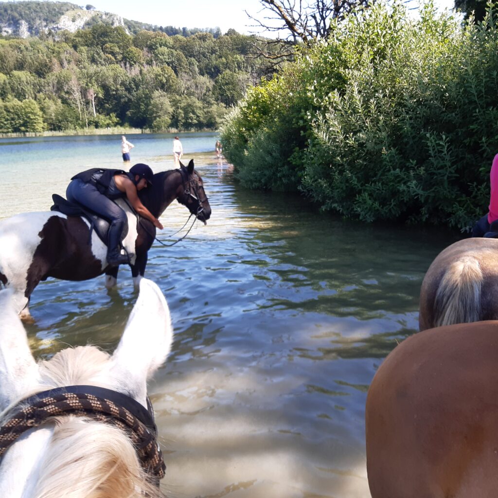 Les Attelages du Grandvaux