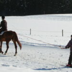 rester-maitre-des-skis-et-du-cheval-1424956811