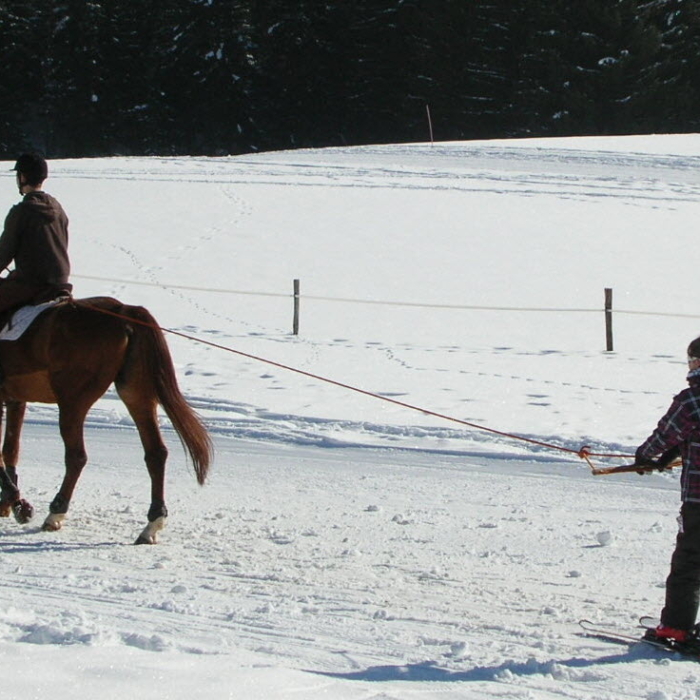 rester-maitre-des-skis-et-du-cheval-1424956811