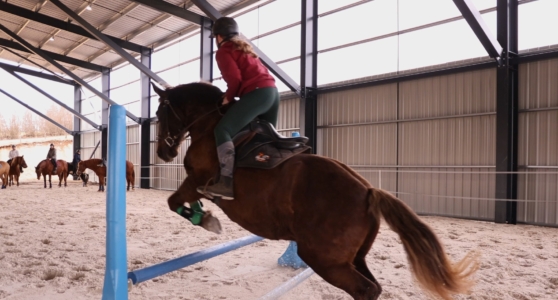 saut cheval