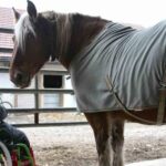 slide-attelage-adapte
